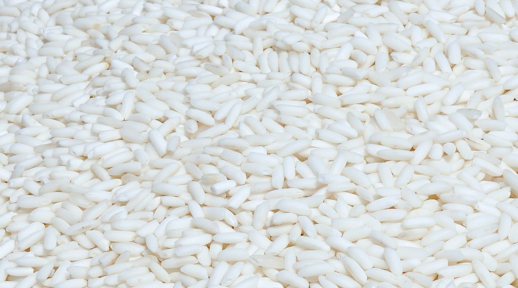 Gạo nếp An Giang 5%, 10%, 100% tấm